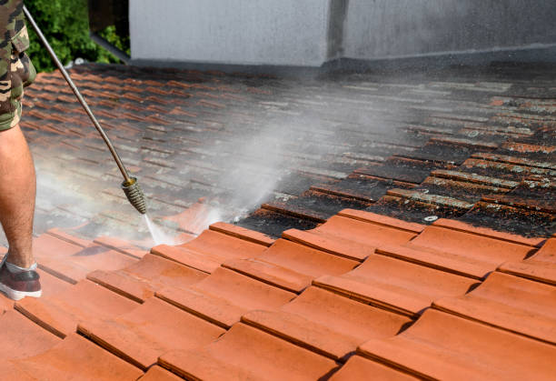  Brooksi, DE Pressure Washing Pros
