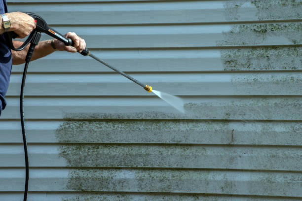Best Deck Cleaning Services  in Brooksi, DE