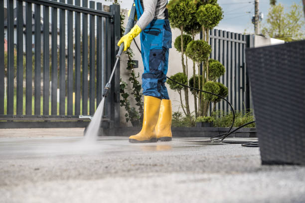 Best Concrete Pressure Washing  in Brooksi, DE