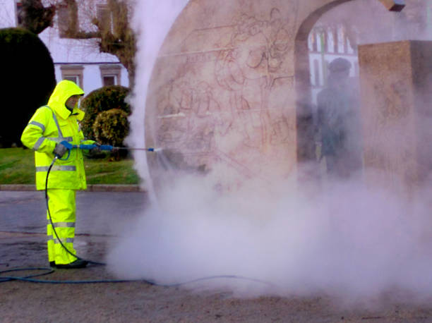 Best Exterior Home Cleaning  in Brooksi, DE